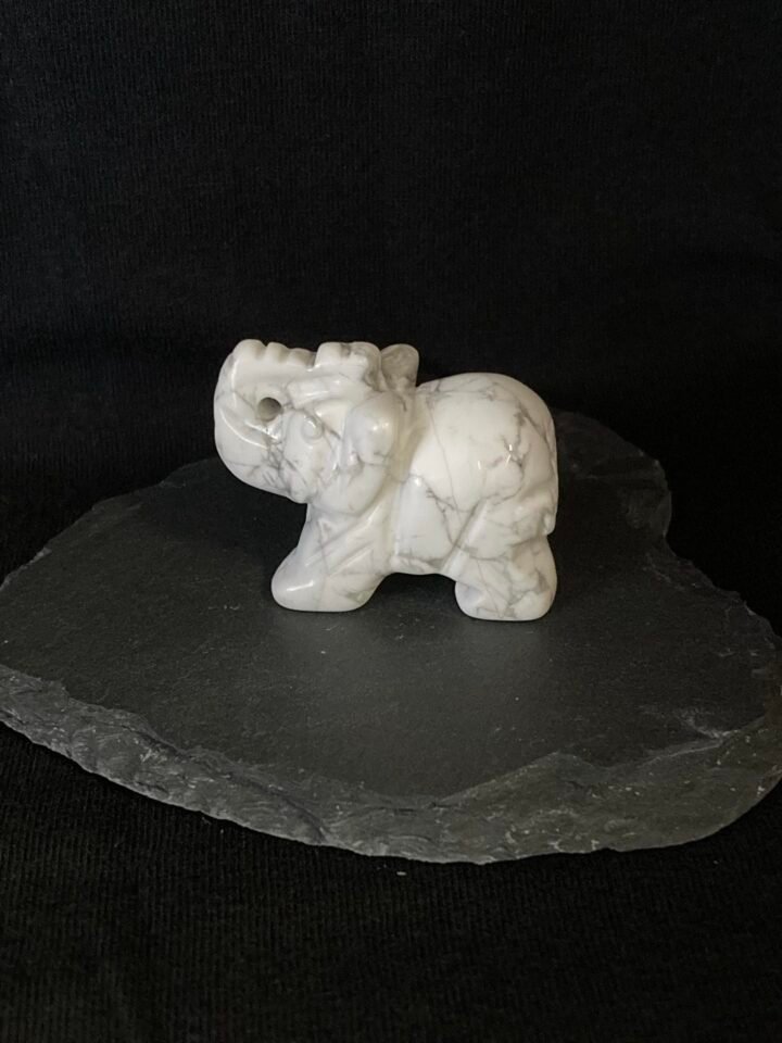 ELÉPHANT 40MM HOWLITE BLANCHE